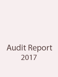 Audit Report 2017